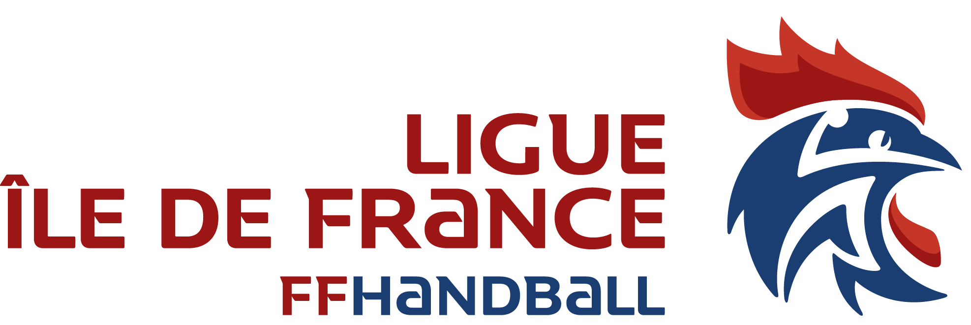 FFHB_LOGO_LIGUE_ILE_DE_FRANCE_FD_BL_RVB