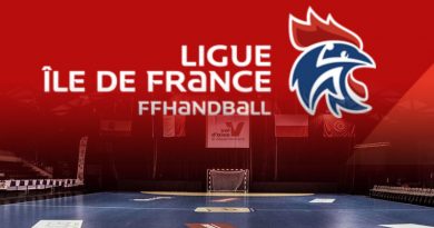 handball-stage-ligue-ile-de-france-eaubonne-fontainebleau