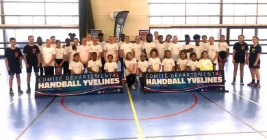 handball-detection-2007-2008