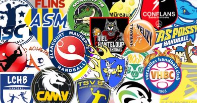 CDHBY-comité-départemental-handball-yvelines-logo-ententes-clubs-Bannière