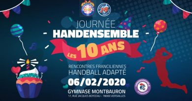 CDHBY-comité-départemental-handball-yvelines-handensemble-Bannière