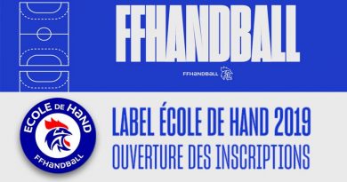 handball-cdhby-label-ecole-de-hand-banniere