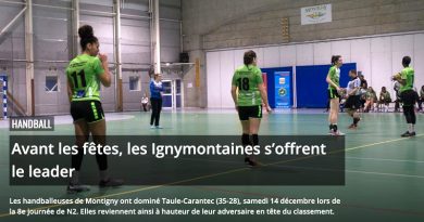 handball-cdhby-n2f-montigny-le-bretonneux