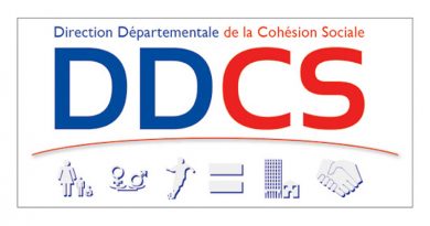 DDCS--logo