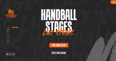 handball-stage-luc-steins-banniere