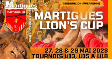 martigues-tournois-lion-s-cup-banniere